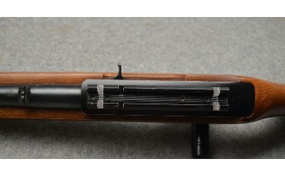 Ruger ~ 10/22 ~ .22LR - Image 9 of 10