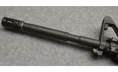 Bushmaster ~ XM 15-E2S ~ 5.56 NATO - Image 8 of 10