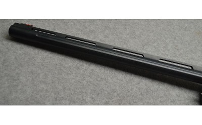 SAVAGE ~ Renegauge ~ 12 Gauge - Image 8 of 11