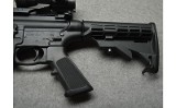 Smith & Wesson ~ M&P 15-22 ~ .22 LR - 11 of 11