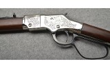 Henry ~ Lever .22 ~ .22 S, L, LR - 9 of 10