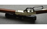 Henry ~ Lever ~ .17 HMR - 10 of 10