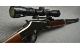 Henry ~ Lever ~ .17 HMR - 6 of 10