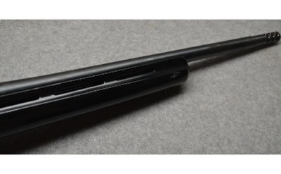 Howa ~ 1500 ~ .204 Ruger - Image 5 of 11