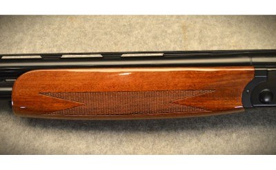 ATA ~ Orion ~ 12 Gauge - Image 9 of 11