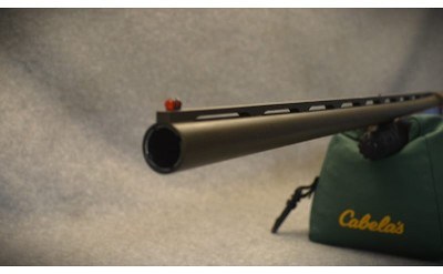 Beretta ~ A300 ~ 12 Gauge - Image 11 of 11