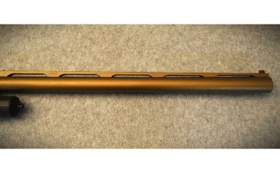 Beretta ~ A300 ~ 12 Gauge - Image 6 of 11