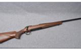 Browning X Bolt ~ .25-06 Remington - 1 of 9