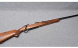 Ruger 77 Varmint ~ .220 Swift - 1 of 9