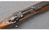 Ruger M77 Mark II Varmint ~ .22-250 Remington - 9 of 9