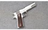 Colt Government Model Stainless ~ .45 ACP - 1 of 2