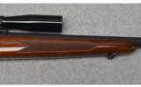 Winchester Model 70 ~ .243 Winchester - 4 of 9
