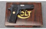 Colt MK IV / Series 80 Government ~ .380 ACP - 3 of 4