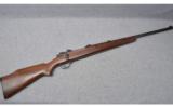Mauser Sporting Rifle ~ 8mm Mauser - 1 of 9