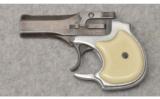 High Standard ~ DM-101 Derringer ~ .22 WMR - 2 of 2