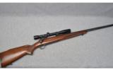 Winchester Model 70 ~ .243 Winchester - 1 of 9