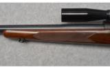 Winchester Model 70 ~ .243 Winchester - 6 of 9