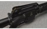 Colt Sporter Competition HBAR ~ .233 Remington - 9 of 9