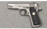 Colt ~ Government 380 ~ .380 ACP - 2 of 2