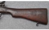 Remington Enfield ~ British P17 ~ .303 British - 9 of 9