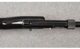 Charter Arms ~ AR-7 Explorer ~ Semi Auto Rifle ~ .22 LR - 6 of 10