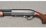 TriStar Arms ~ Model Cobra 20 Wood ~ Pump Action Shotgun ~ 20 Gauge - 7 of 13