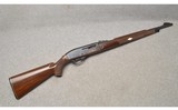 Remington Arms ~ Nylon 66 Model ~ Semi Auto Rifle ~ .22 Long Rifle - 1 of 12