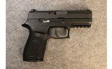 SIG Sauer ~ P320 ~ 9mm Luger - 1 of 2