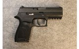 SIG Sauer ~ P320 ~ 9mm Luger