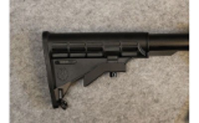Ruger ~ AR-556 ~ 5.56 NATO