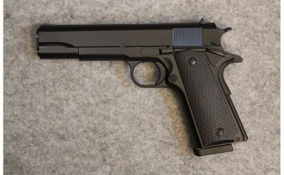 Tisas ~ 1911 A1 Service ~ .45 ACP