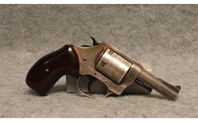 Charter Arms ~ Bulldog Milestone Limited Edition ~ .44 Special - Image 2 of 7