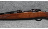 Ruger ~ M77 ~ .22-250 Remington - 9 of 10