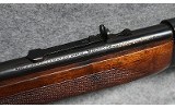 Winchester ~ Model 64 ~ .30 WCF - 11 of 12