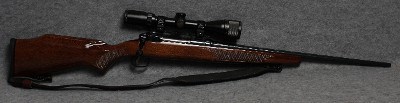 Savage ~ Model 10 ~ .243 Winchester - Image 1 of 8