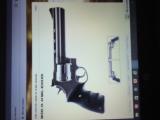 Taurus 44 Remington Magnum
- 7 of 7