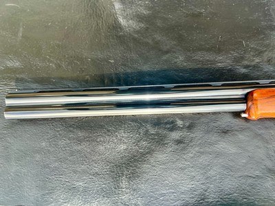 CAESAR GUERINI TEMPIO 12 GAUGE 28