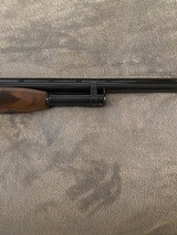 Winchester Model 12 1954 12 Gauge - 13 of 15