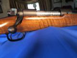 Winchester model 70 super grade - 13 of 15
