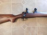 WINCHESTER 70 COYOTE 25WSSM - 9 of 10