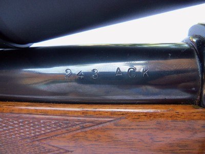 243 Ackley Improved K-98 Mauser - Image 4 of 15