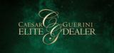 CAESAR GUERINI ELLIPSE CURVE GOLD 12/32" SPORTING-ELITE ONLY SPECIAL EDITION - 18 of 19