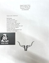 HAYES CUSTOM STI 9mm absolute MUST SEE Photos - 10 of 10