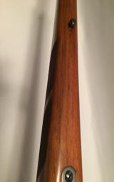 Browning FN Safari Grade 243 CAL - 19 of 20