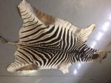 Large African Burchell Zebra Rug - 3 of 4