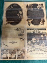 Mailing Advertisement - 3 of 7