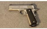 Kimber Custom Shop Stainless Pro Raptor II .45 ACP - 2 of 3