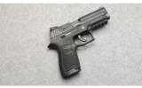 Sig Sauer P250-22 in .22 LR - 1 of 2