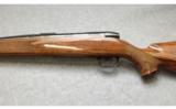 Weatherby Mark V in .257 Weatherby Magnum - 5 of 7