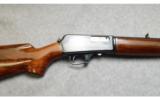 Winchester 1907 in .351 WSL - 2 of 7